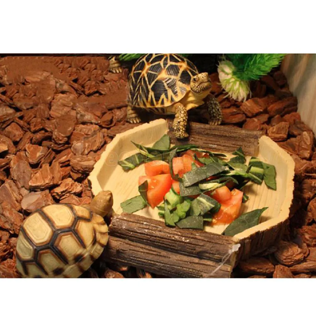 Reptile Feeding Watering Station: Tortoise, Lizard, Snake Bowl