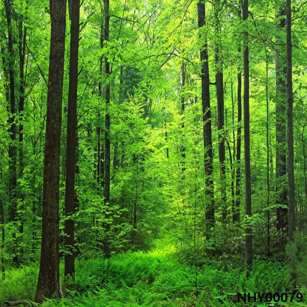 Laeacco Spring Green Forest Trees Grassland Scenery... From Ddmywonder ...