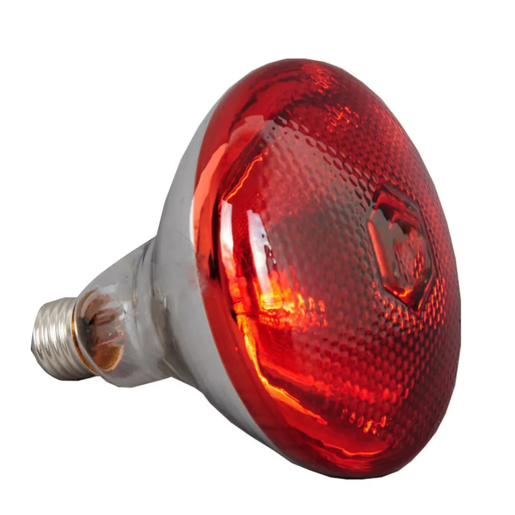 DHgate 250W Waterproof Infrared Heat Lamp Bulbs for Piglets Chickens Ducks Birds Anti Explosion Thickened Glass Pet Supplies