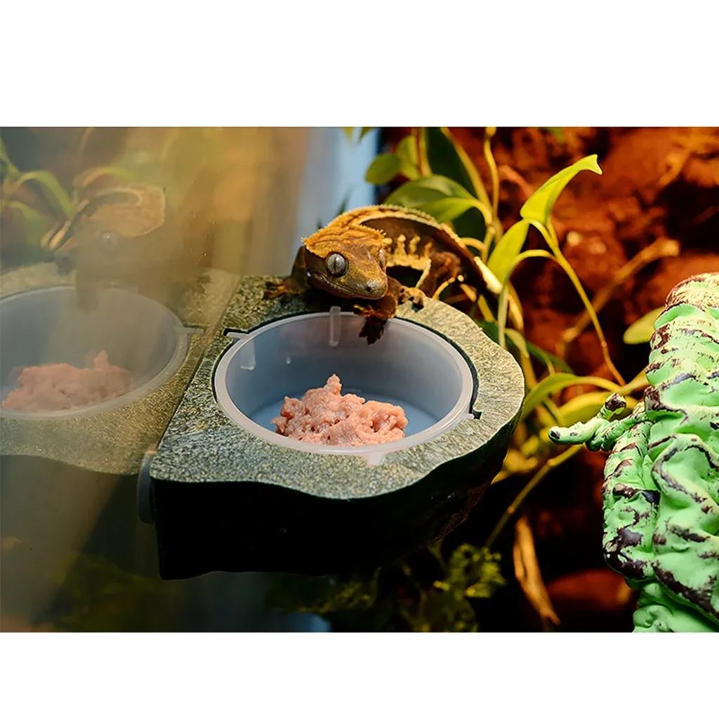 DHgate Magnetic Gecko Ledge Feeder Water Bowl for Reptile Terrarium Easy Clean Ceramic Terrarium Accessories Pet Supplies
