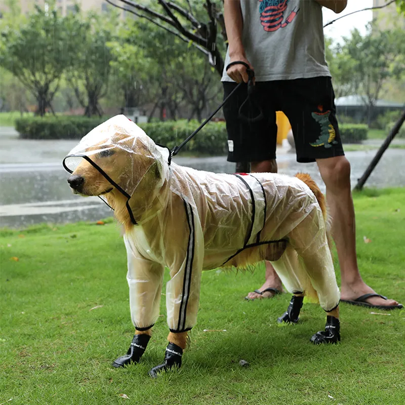 Transparent dog raincoat online