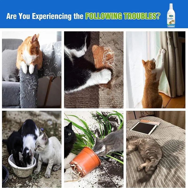DHgate Natural Cat Deterrent Spray for Training Scratching and Long Term Behavioral Correction Pet Supplies