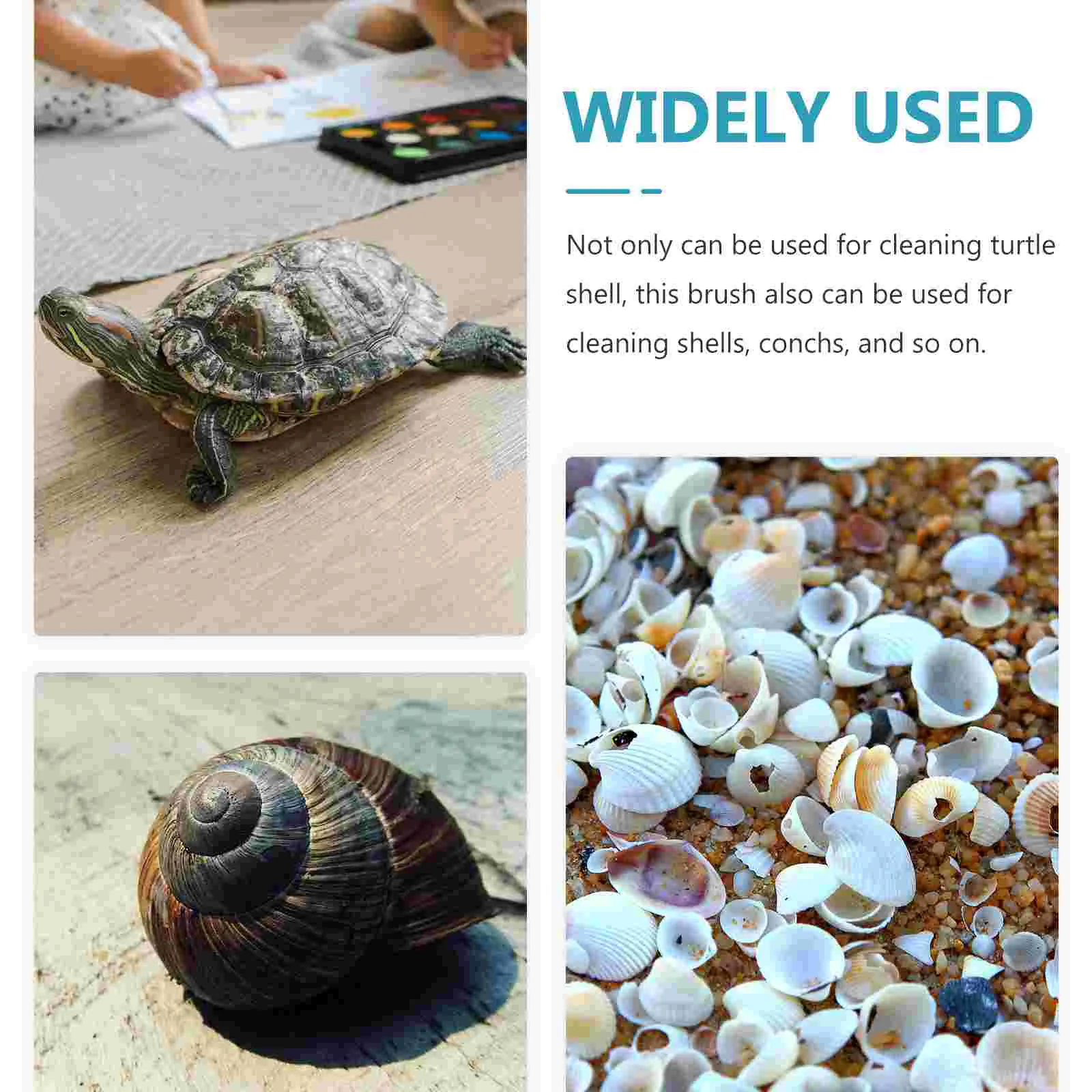 Cleaning tortoise shell store