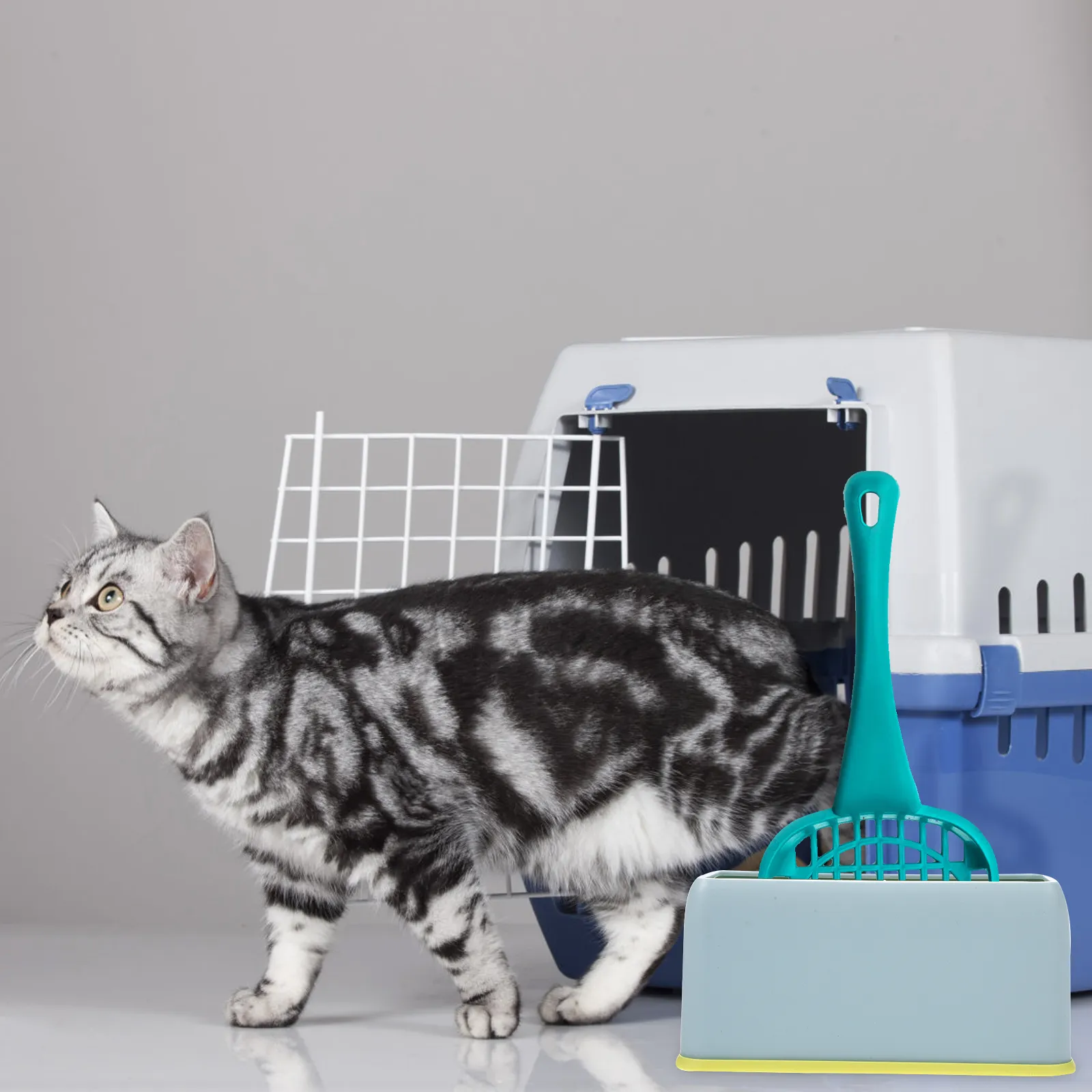 Wholesale Set Of 2 Pet 1 Plastic Cat Litter Scoop Base Stands With Holder For Household Use From Quanyuanfacai 15.07 DHgate.Com