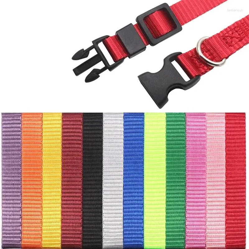 Litterbands hotsell