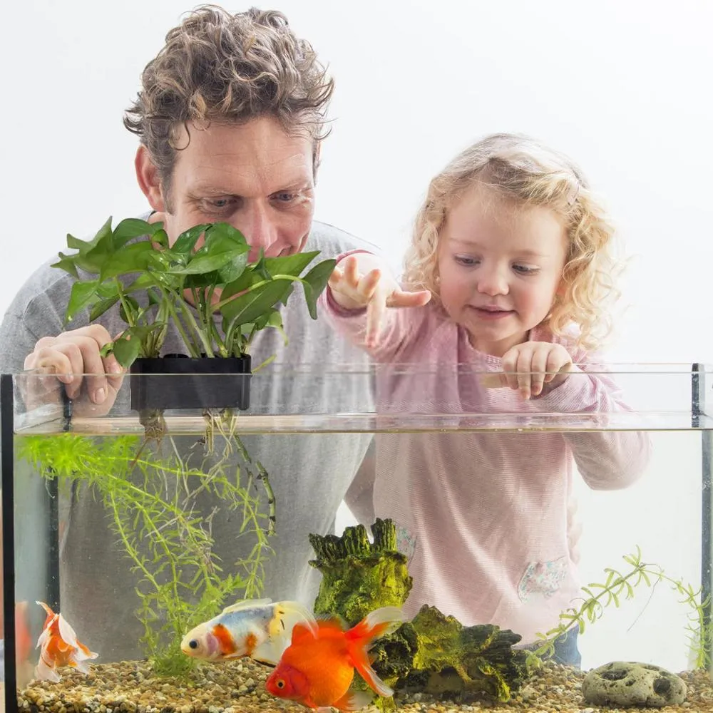 Leaveforme Wall-Hanging Fish Bowl Acrylic Wall-Mounted Plant Pot Fish Tank 15.91-inches Decoration Planter(Clear