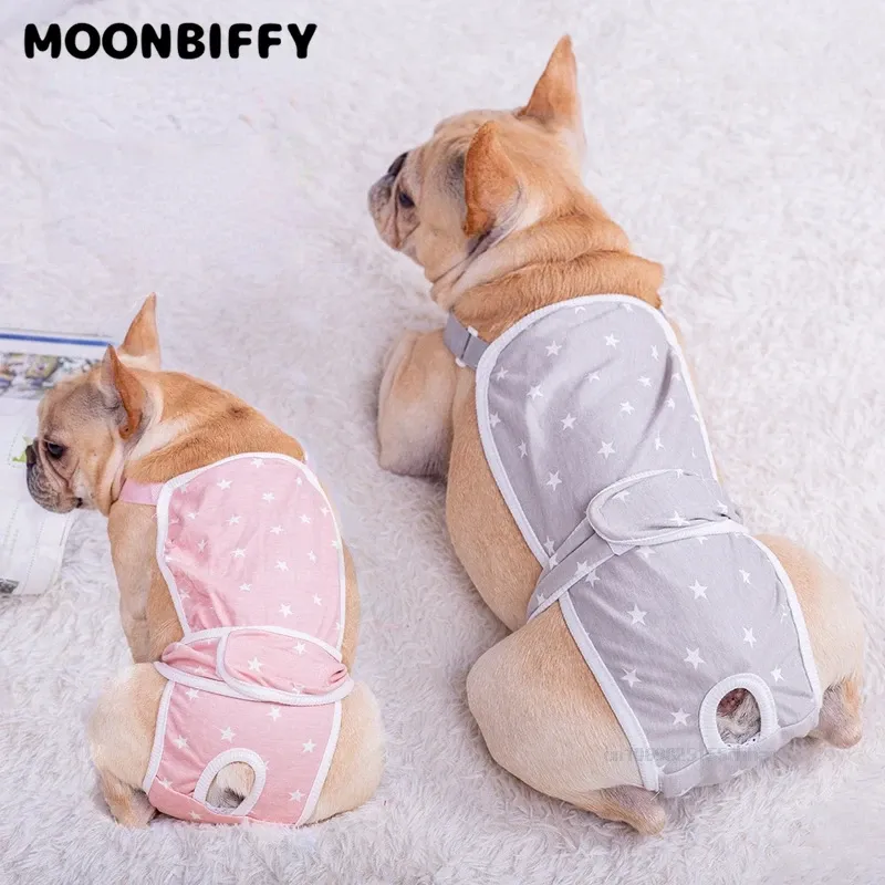 Dog Physiological Pants 100 Cotton Female Puppy Sanitary Diaper Briefs All Season Pet Underwear from Zhejiang
