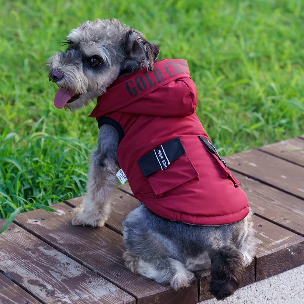 Padded dog jacket cheap
