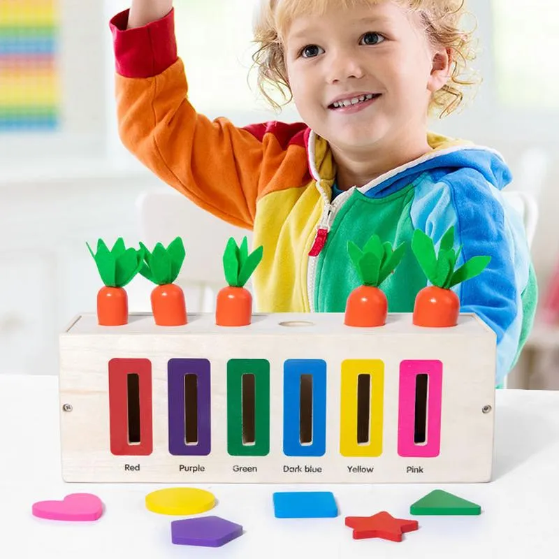 DHgate Montessori Carrot Harvest Color Sorting Toy Magnetic Bead Shape Matching Toddler Toys Toys Gifts