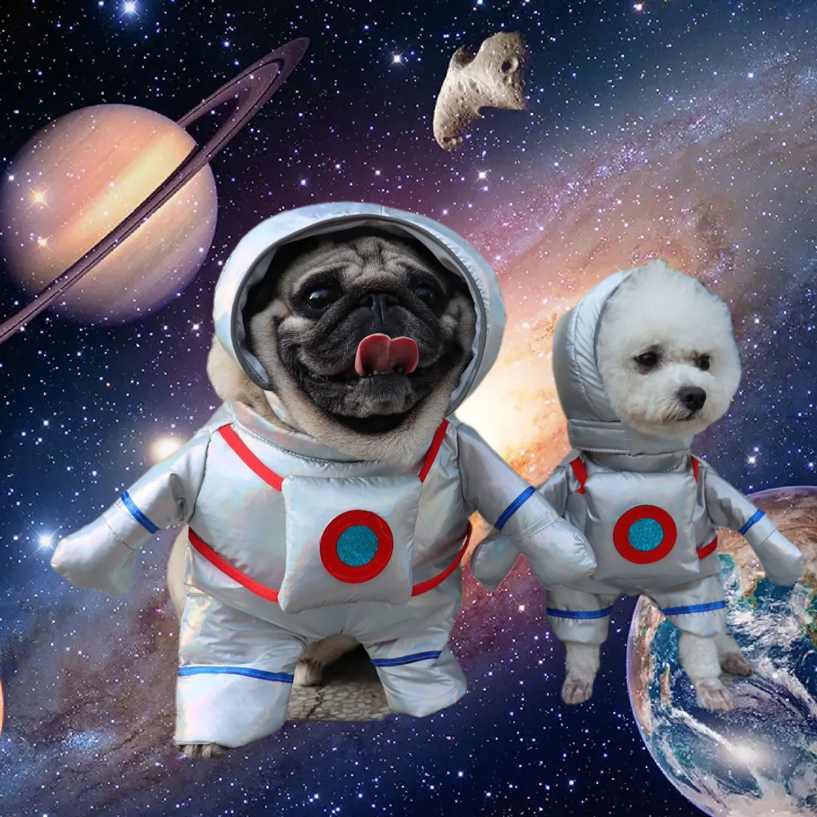 Pets Dog Cat Astronaut Costume Fully Padded Clothes with Hat Standing-up  Apparel Set for Halloween Party from Dhgate Dog Apparel Accessories - price  16.07, image size:1600x1600