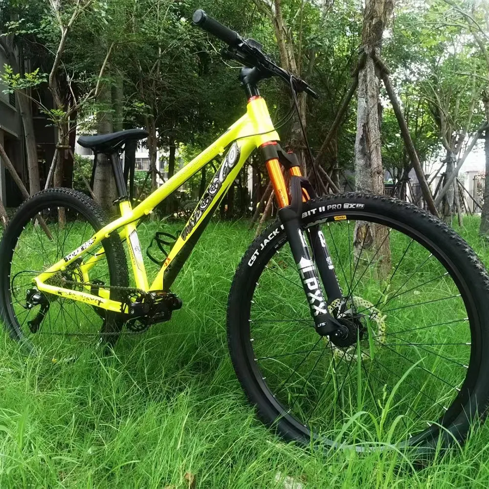 Personalized Pattern Wissco 4X 14 Inch Frame Aluminum Mountain Bike 8 12 Speed