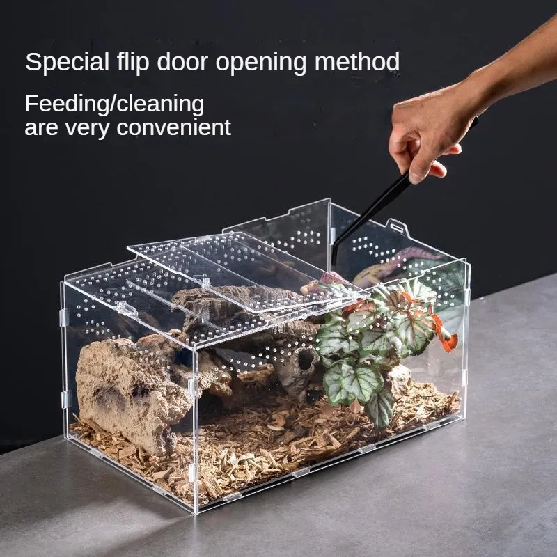 Small Acrylic Terrarium For Jumping Spiders & Micro Pets - 5.9x4.7x6.1" With Magnetic Door & Ventilation