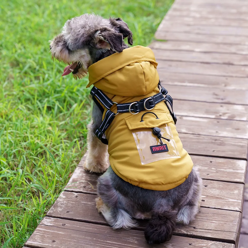 Padded dog jacket hotsell