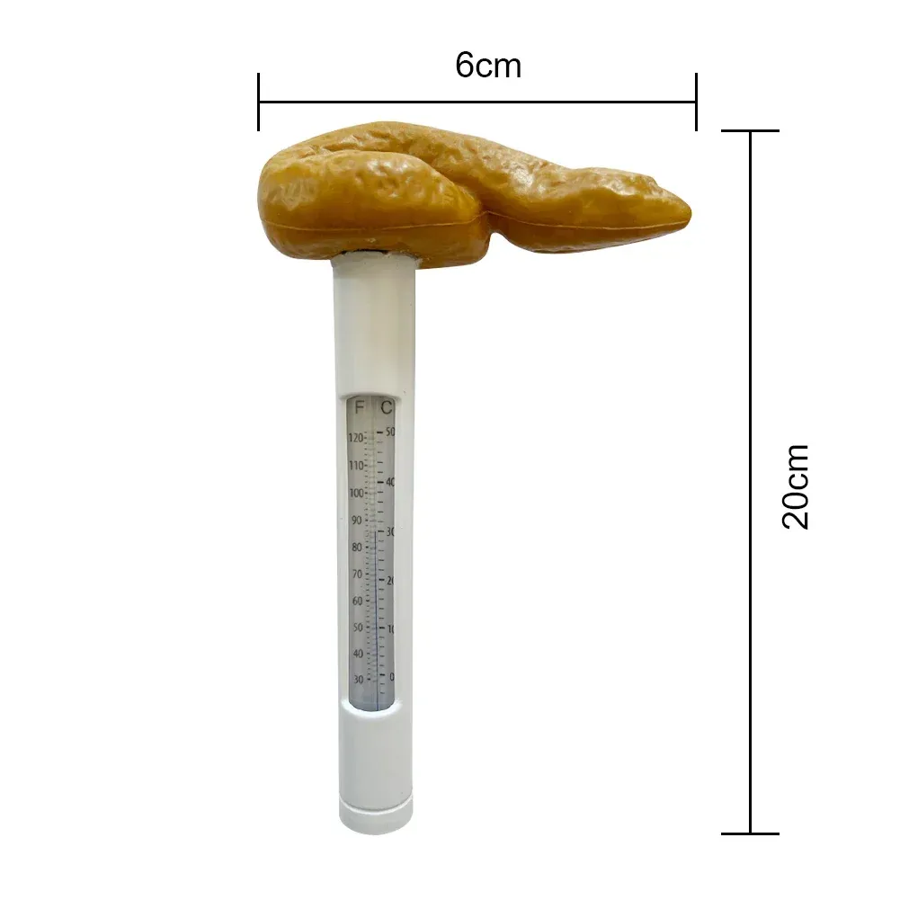 Floating Water Thermometer,Pool Floating Thermometer Water Thermometerwith String Swimming Pool Thermometer Built For Professionals