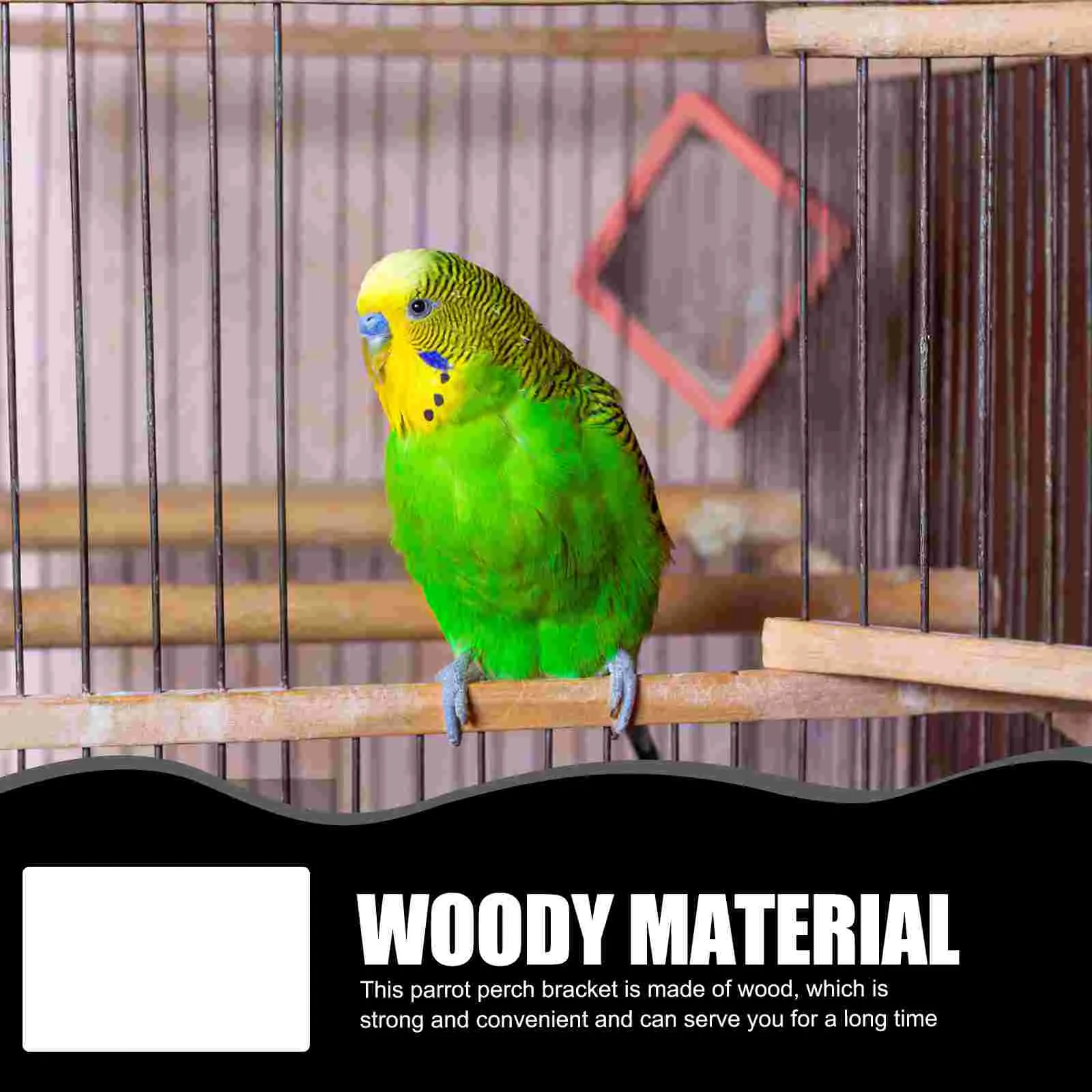 Parrot stands for sale store