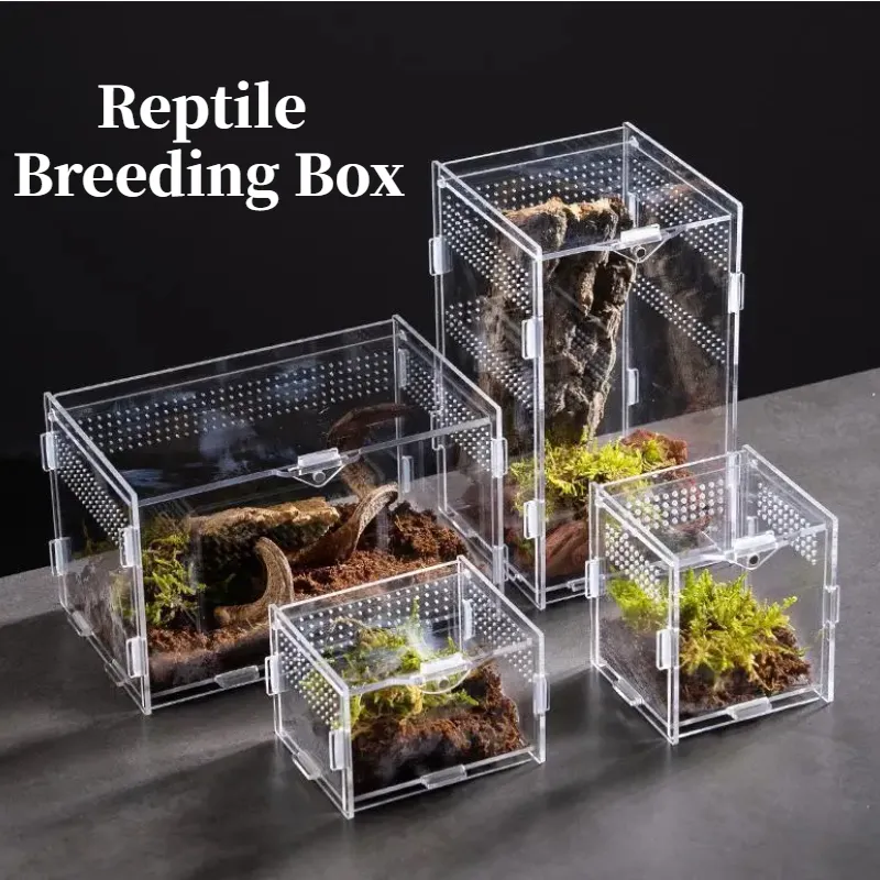 Transparent Acrylic Reptile Terrarium: Nano Arboreal Tarantula