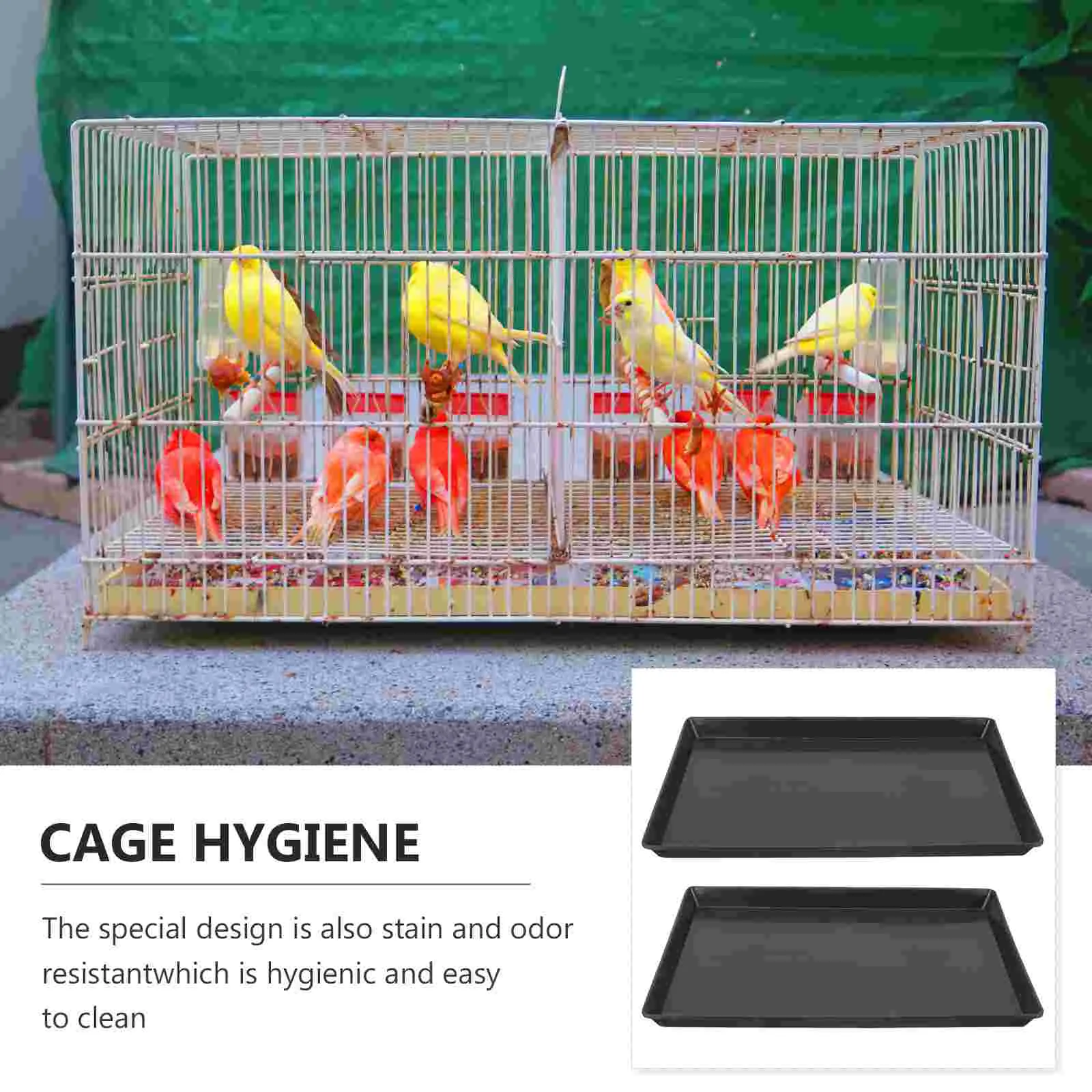 2Pcs Plastic Replacement Tray For Dog Crate