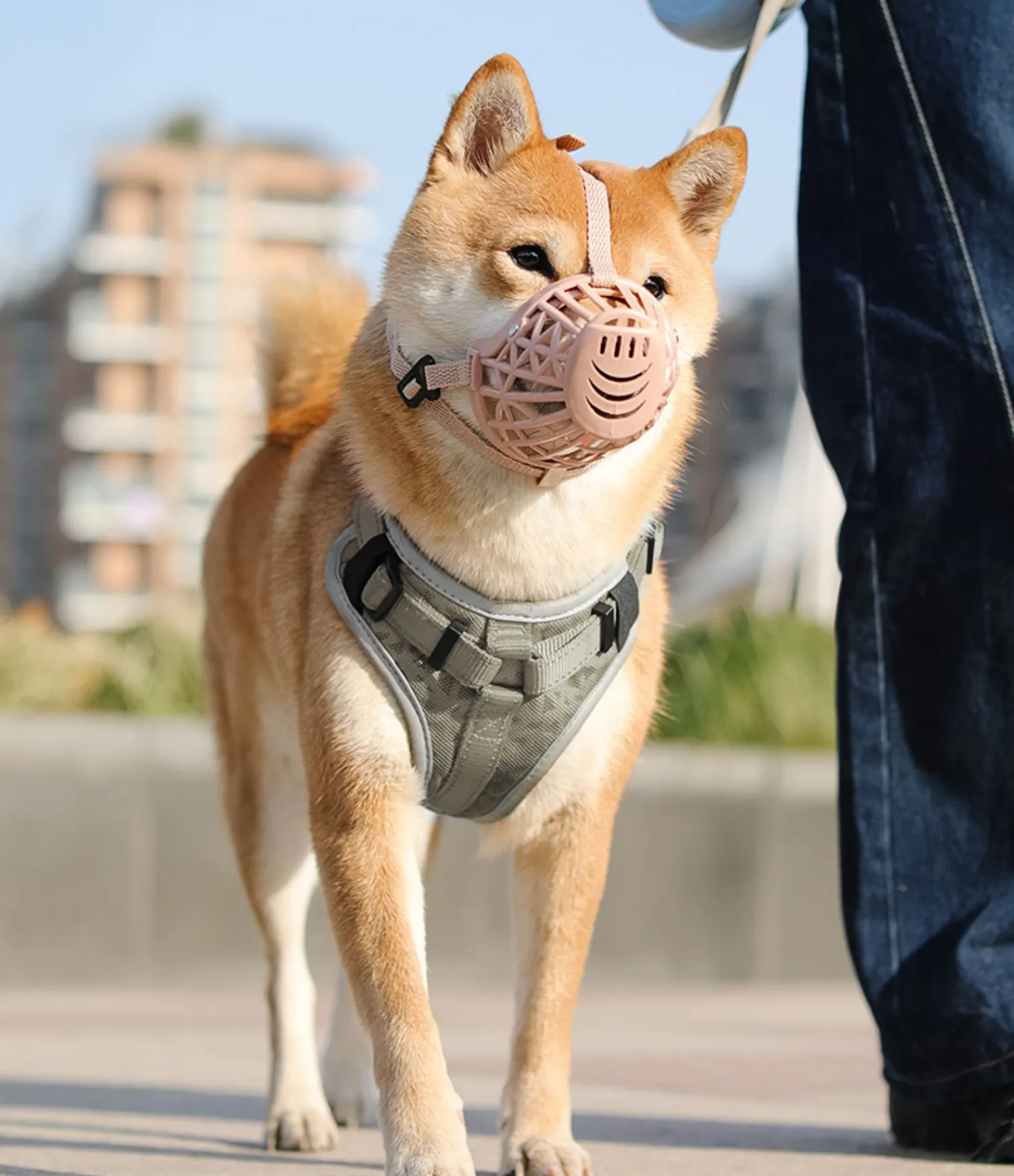 Breathable Silicone Dog Omnipet Muzzle Anti Biting Mouth Cover For Small Medium And Large Pets Comfy And Effective Chewing Solution From Globalbazaar 16.3 DHgate.Com