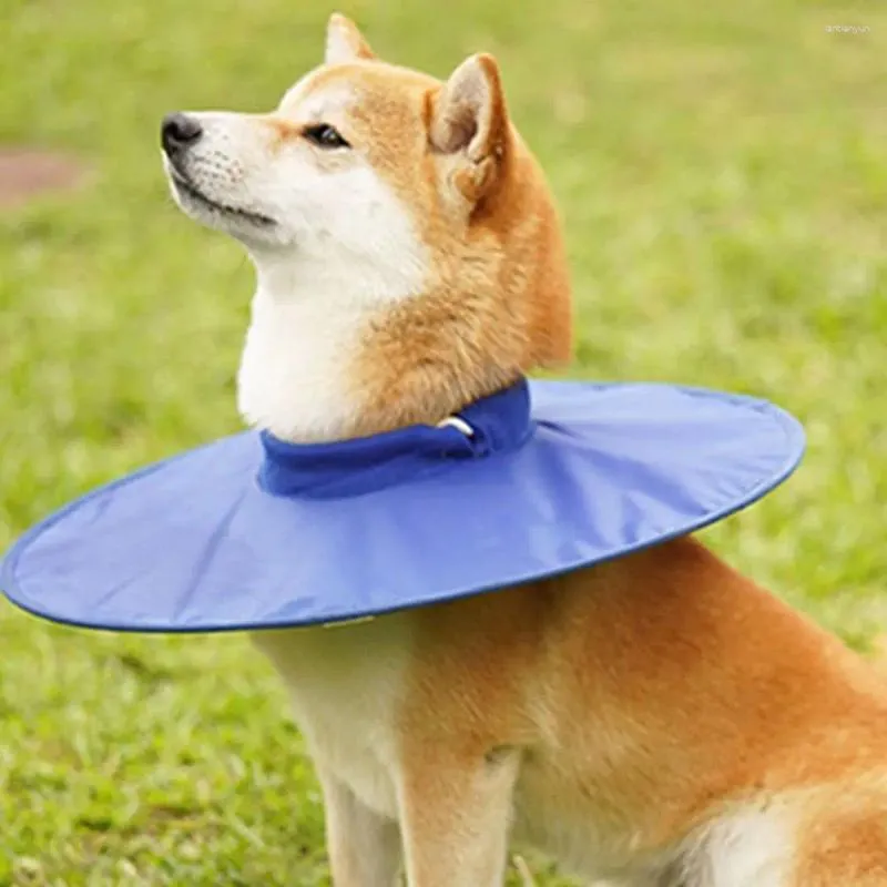 Soft Cat Recovery Collar Flower Pet Cone (Pink/Blue) Soft E