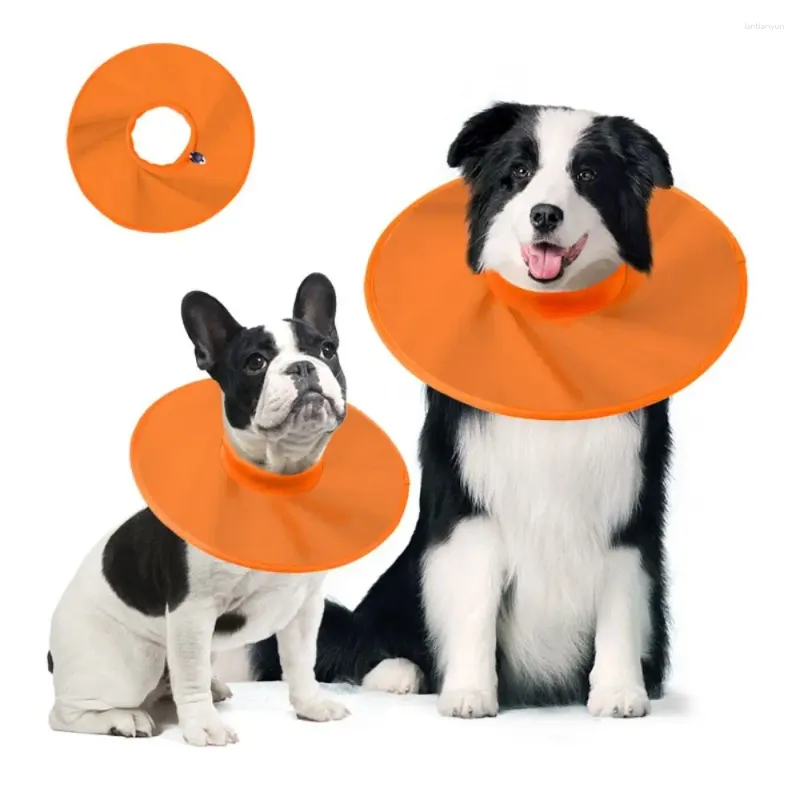 Cloth elizabethan collars for dogs store