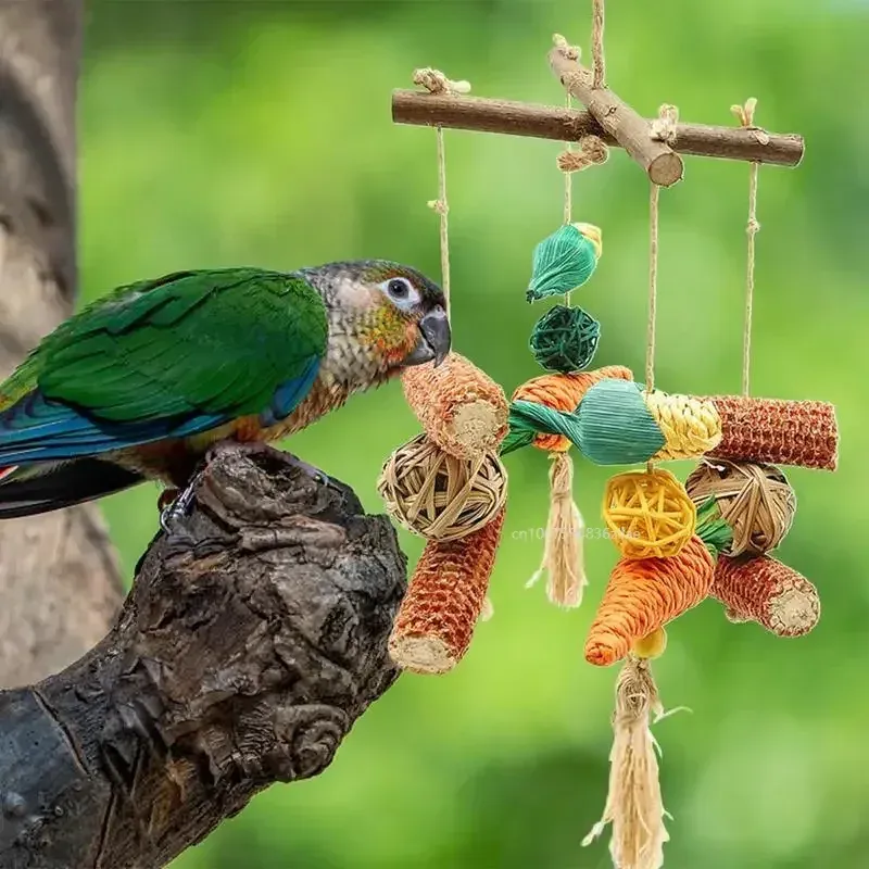Natural parrot toys cheap