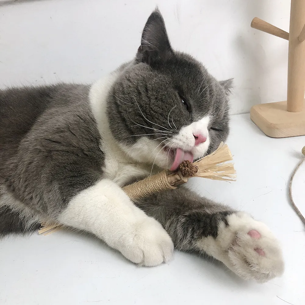 Natural cat toys outlet