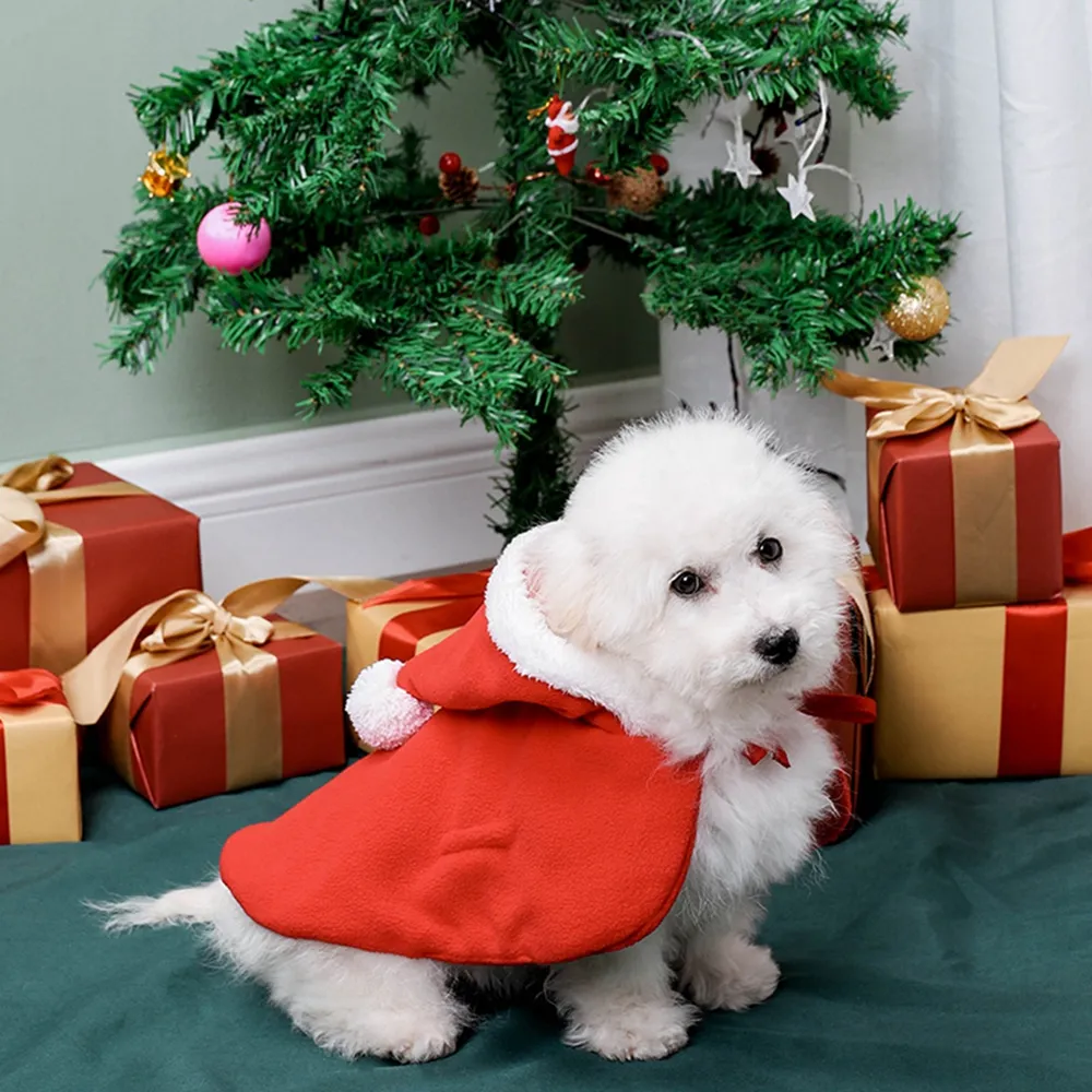 Puppy santa outfit clearance
