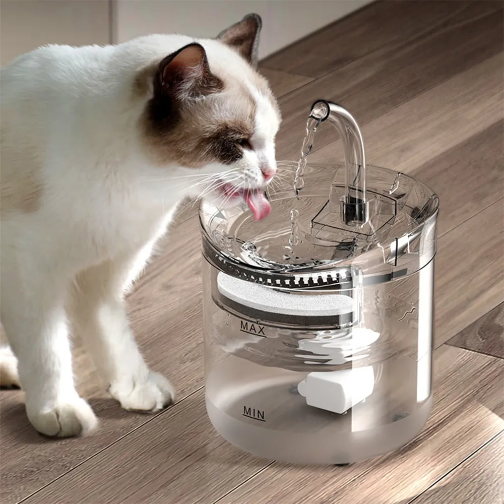 Cat water fountain without filter sales