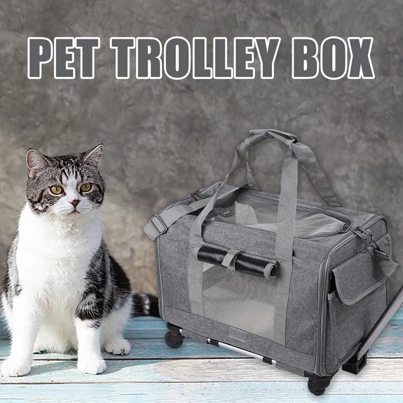 DHgate Soft Sided Pet Carrier Backpack for Cats Small Dogs Airline Approved Comfortable for Outdoor Travel Pet Supplies