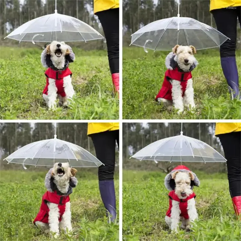 DHgate Small Clear Pet Umbrella Transparent Leash for Dogs and Cats Rainproof and Sun Protection Pet Supplies