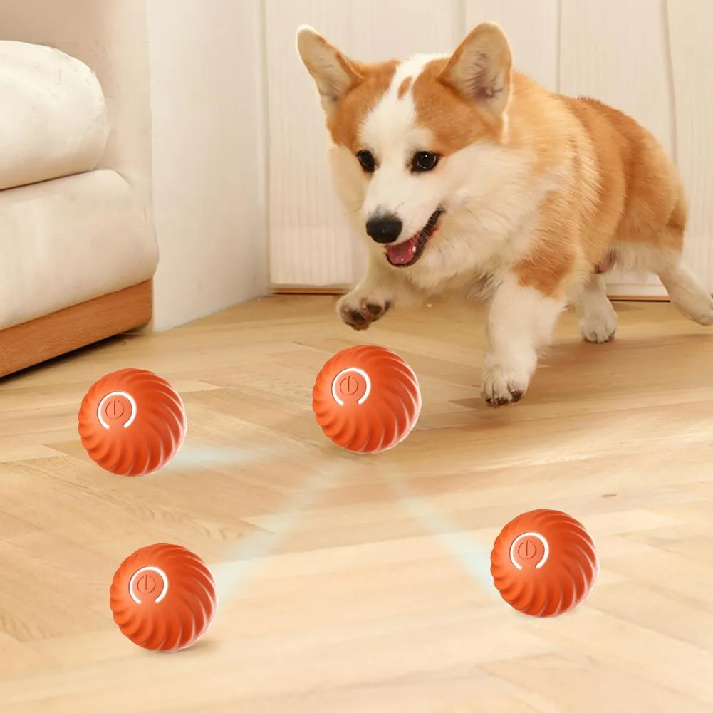 Jumping ball for dogs sales