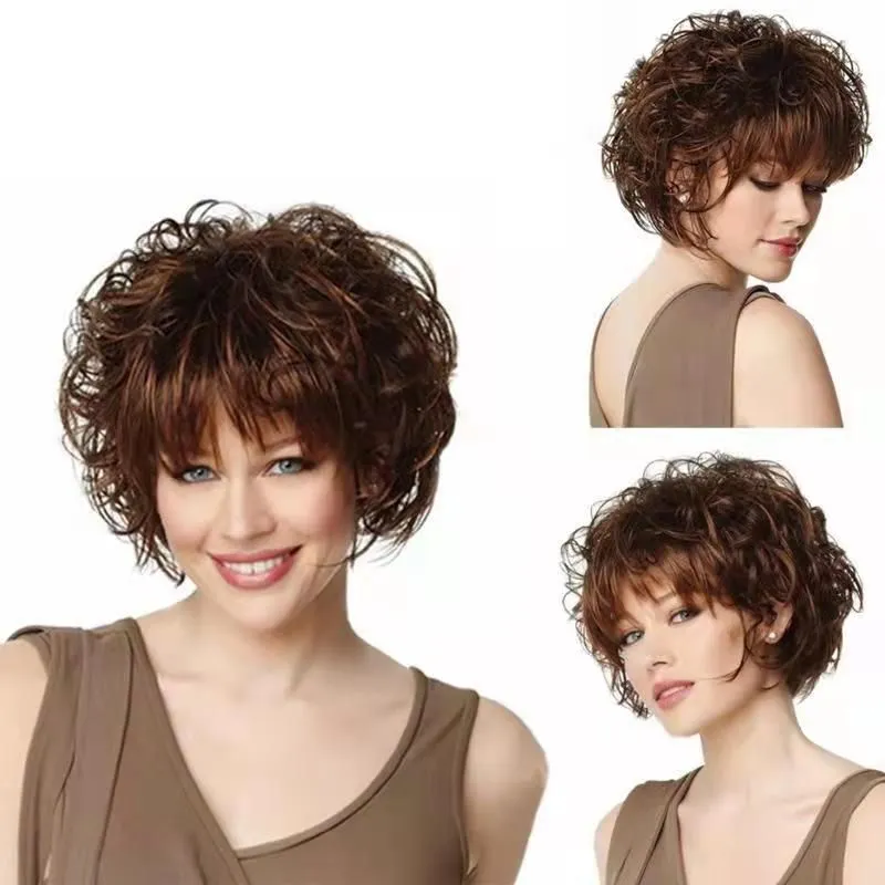 Dark Brown Short Curly Lace Front Wig with Light Brown  display picture 1