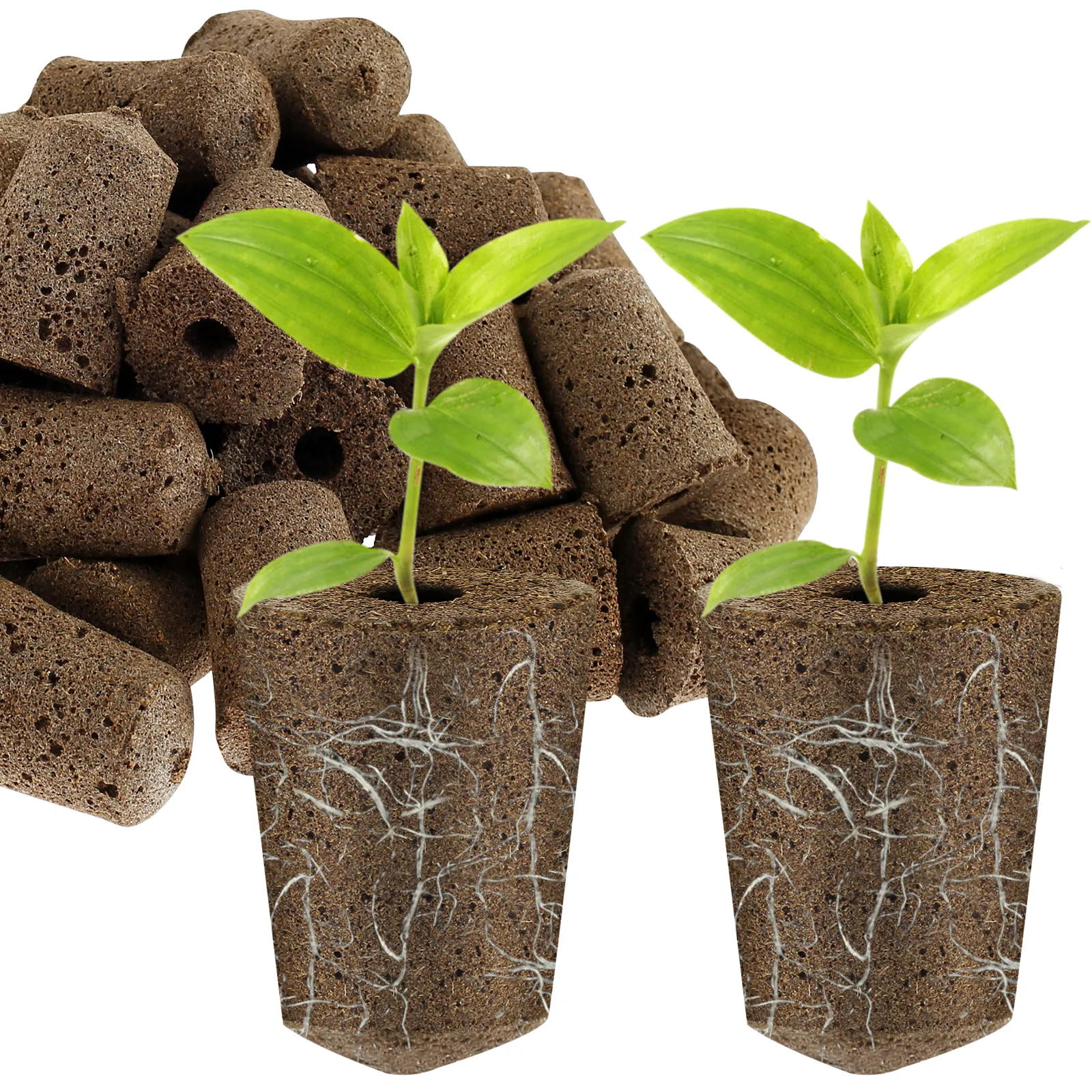 Hydroponic Grow Kit: Seed Starter Sponges Premium Replacement Root Growth  Media For Gardening Pods And Hydroponics Kits From Homemarket10, $18.66 |  DHgate.Com, image size:1600x1600
