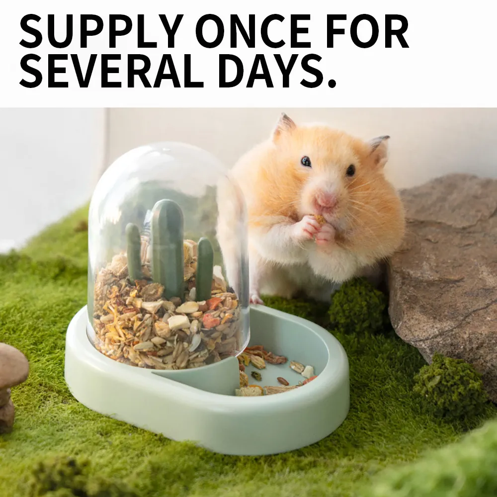 Wholesale Automatic Feeder For Hamsters Guinea Pigs Rabbits Hedgehogs And Squirrels Compact Buddeez Food Storage And Small Pet Accessory From Quanyuanfacai Bulk 15.54 DHgate.Com