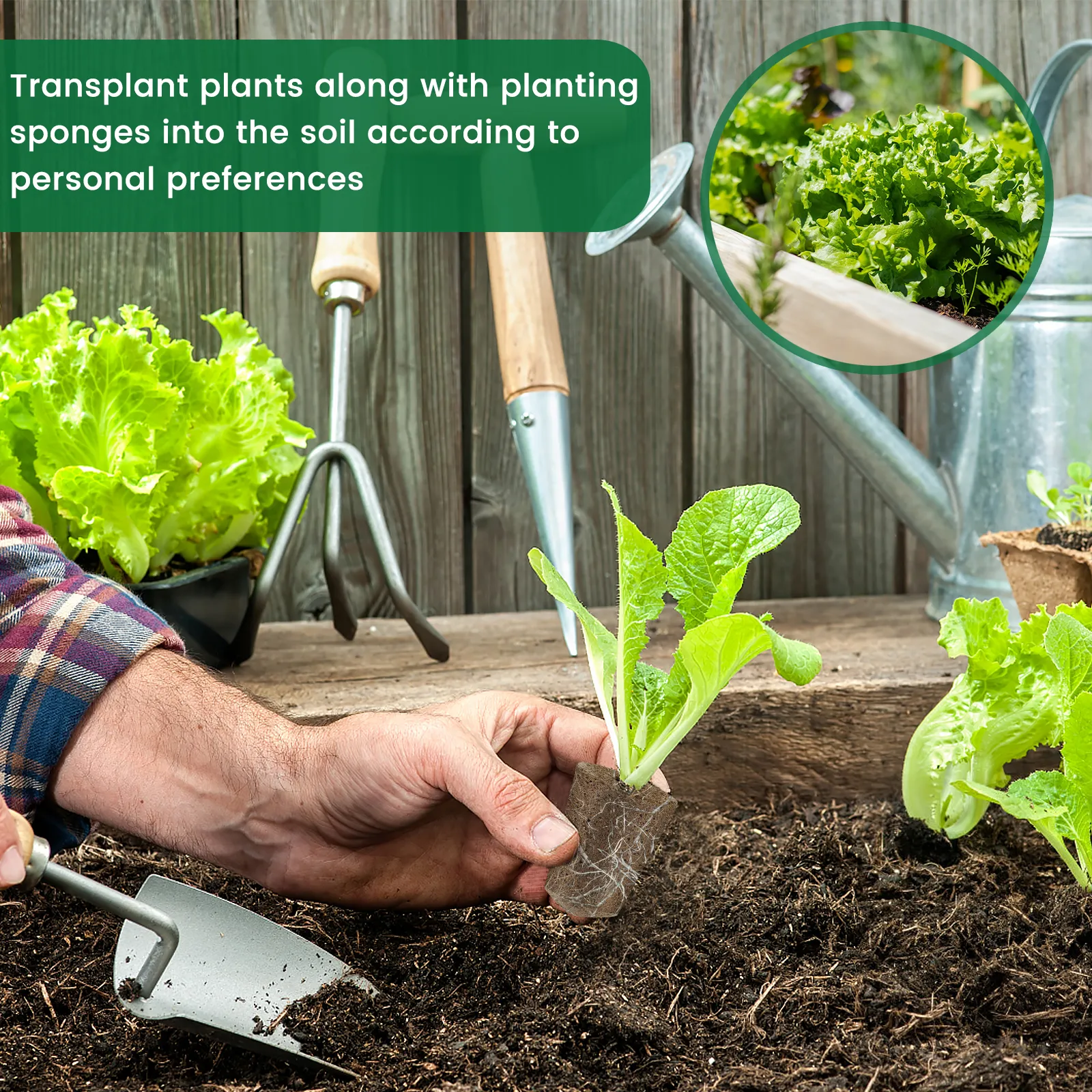 Indoor Growing Media 50 PCS Hydroponic Grow Sponges - AeroGarden Compatible Seed Pods With Plant Labels & Tweezer Indoor Garden Supplies