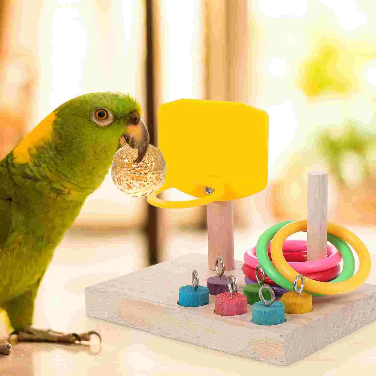 Budgie trainer madeira