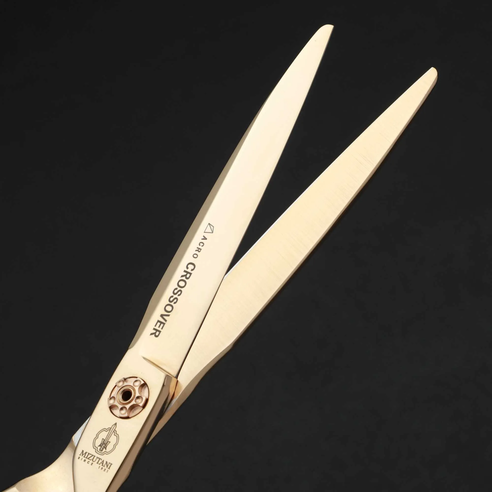 Barber Scissors Shears MIZUTANI 6.3-inch VG10 Steel Professional