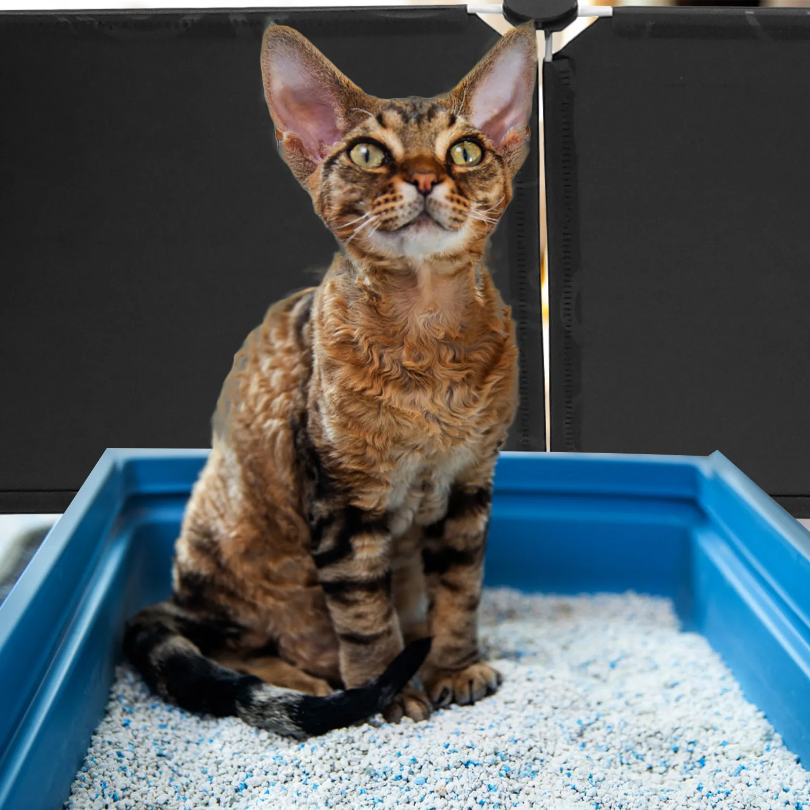 Cat litter box mat large online