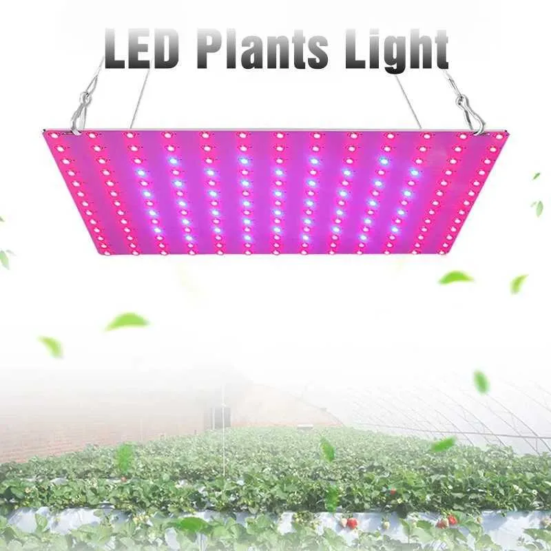 Full Spectrum Hydroponic Maxkon Led Grow Light 169 LEDs For Indoor ...