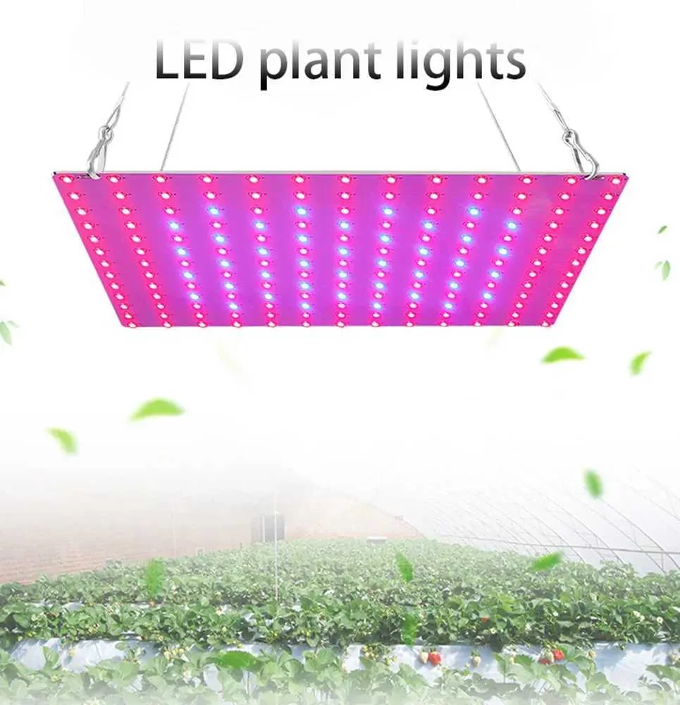 Full Spectrum Hydroponic Maxkon Led Grow Light 169 LEDs For Indoor ...