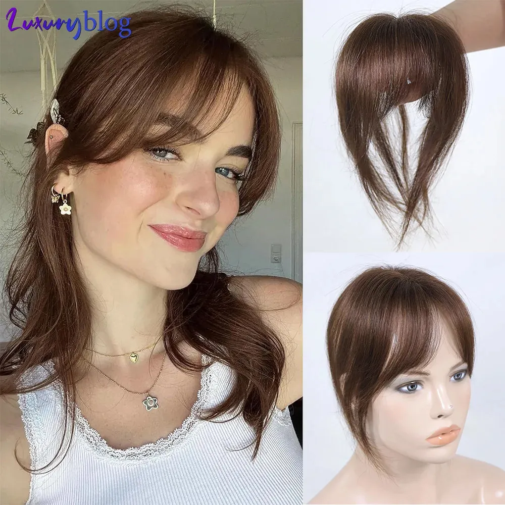 Bangs Hair Wig Brown Black Human Hair Clip In Fringe With