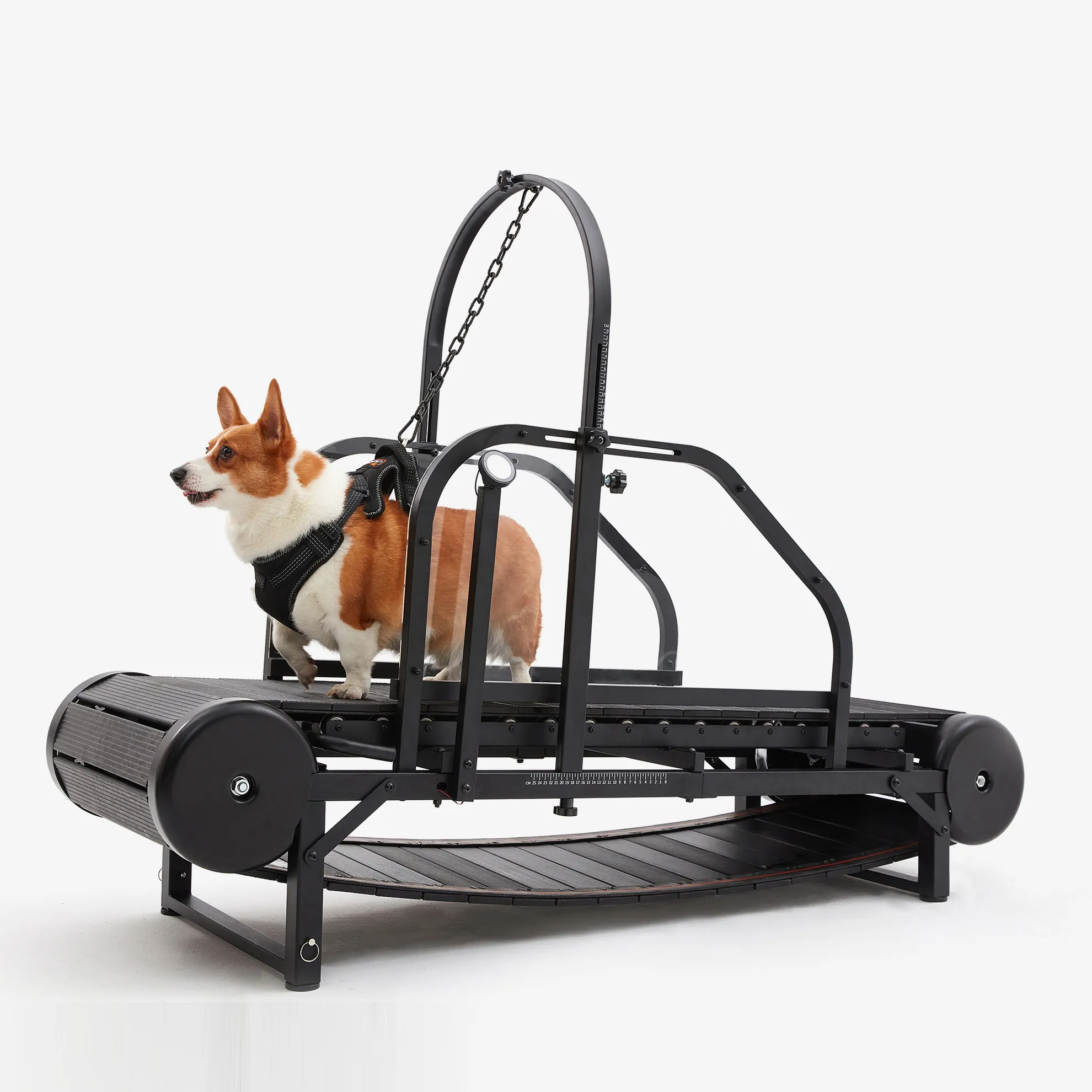 大型犬用のペットトレッドミル ヘビーデューティーランニング 