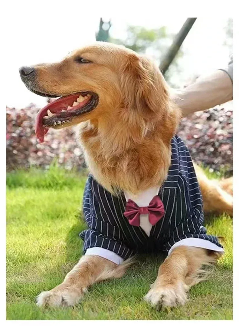 green emerald velvet dress Yellow Mirror Frock Dog Wedding Dress– Designer Bridal Outfit for Pets