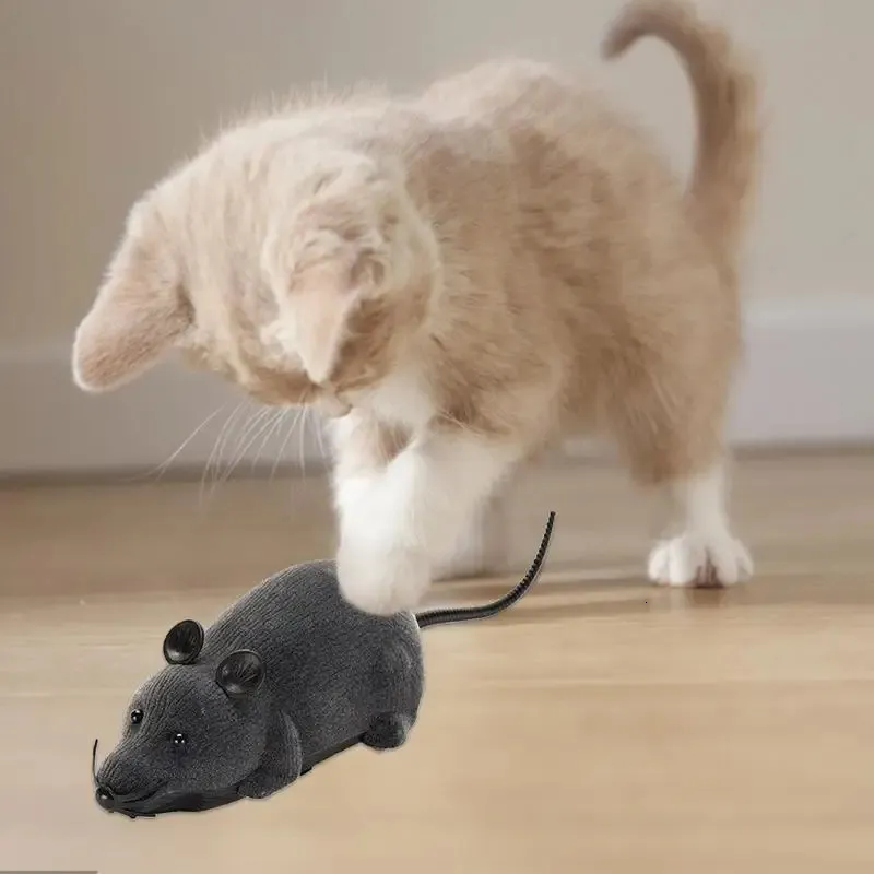 Roboter Maus Katzenspielzeug  Kabellose... Von 12,58  | DHgate