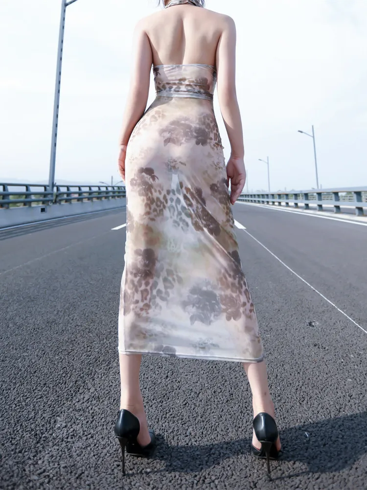 chinese dress ladies Sheer Lace-Trim Mesh Dress main image 0