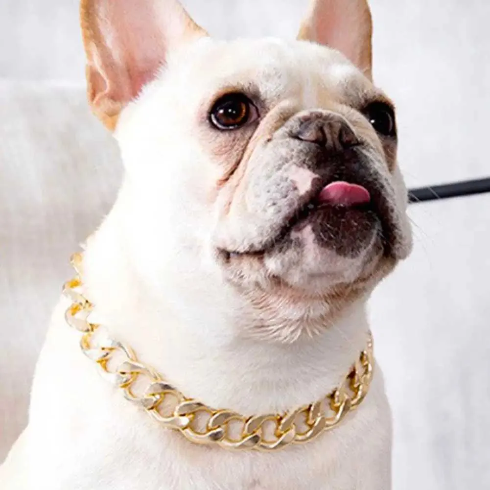 Save Big on Bulk French Bulldog Chain Collar Dog Collars For French  Bulldogs: Adjustable Metal Chain Dog Collar Jewelry For Small To Medium  Dogs