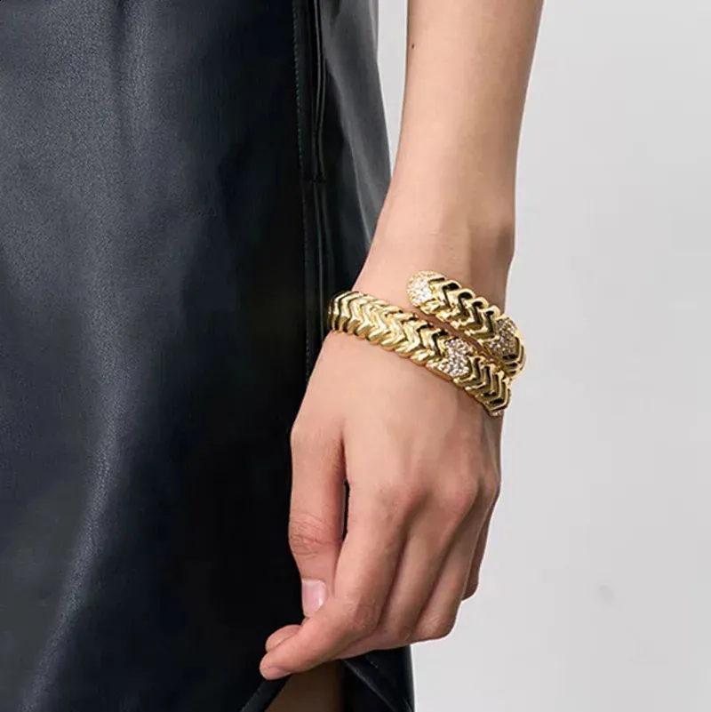 Rhinestone Pave Double Layered Snake Bangle For Women Elegant_voghion.com