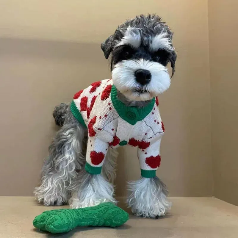 Cotton dog jumper online