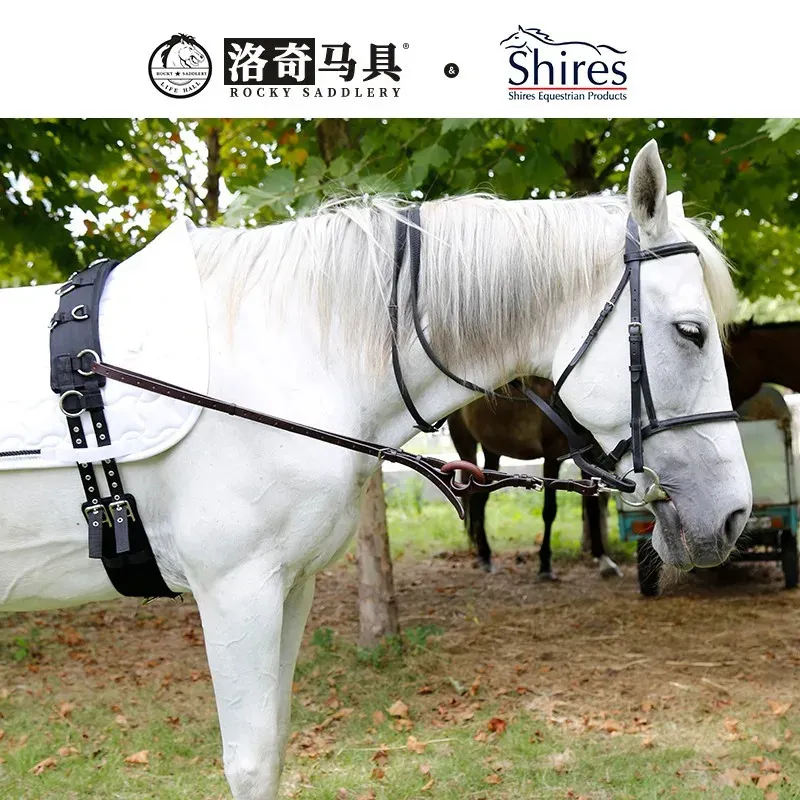 Side Riens Cavpassion Rubber Ring Side Rein for Horse Riding Equestrian Equipment ...