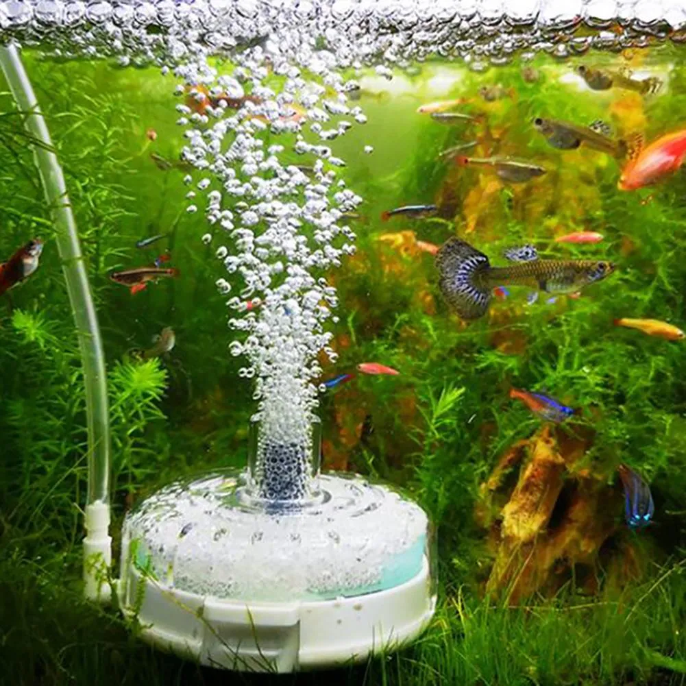 Thin fish tank new arrivals
